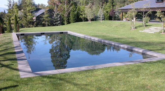 Piscina de agua oscura en jardín, proyecto de MA&MA POOL