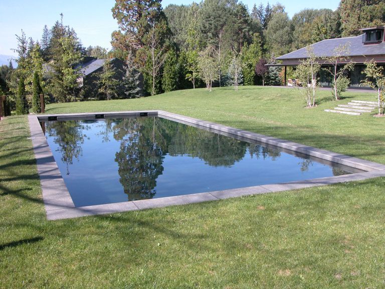Piscina de agua oscura en jardín